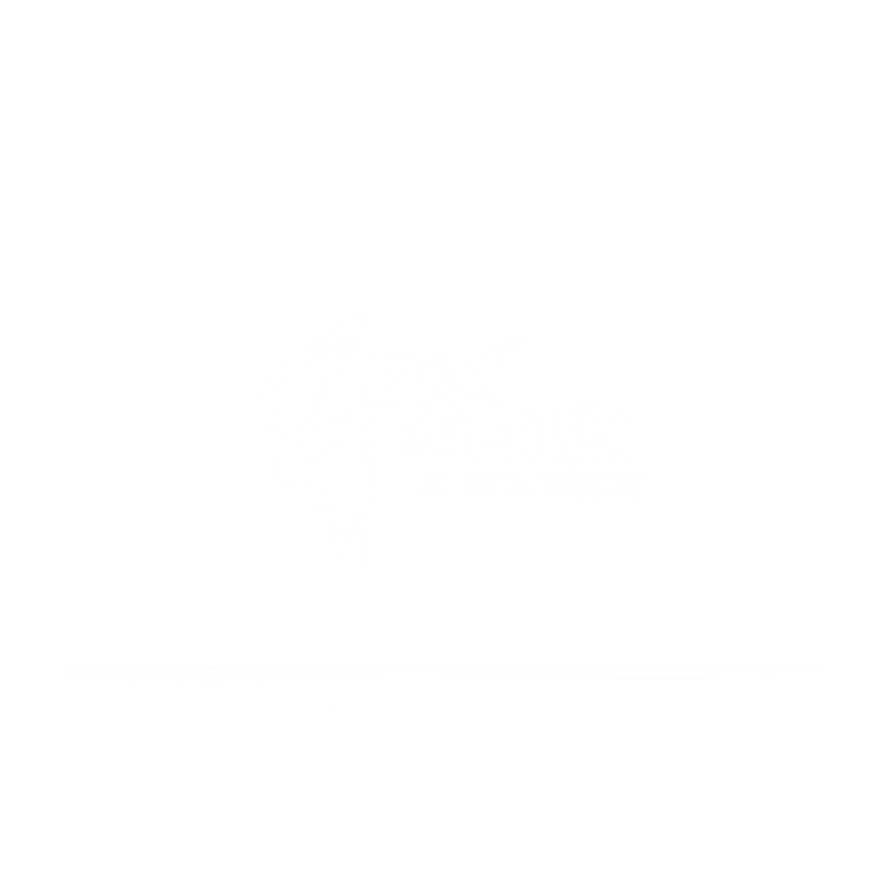 EVM Energía
